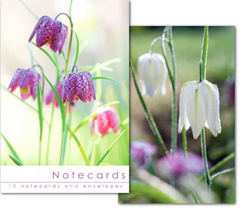 Notecards: Fritillaries (No Scripture)