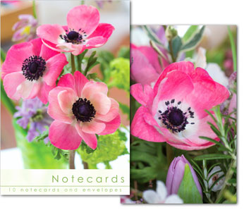 Notecards: Pink Anemone Close Up