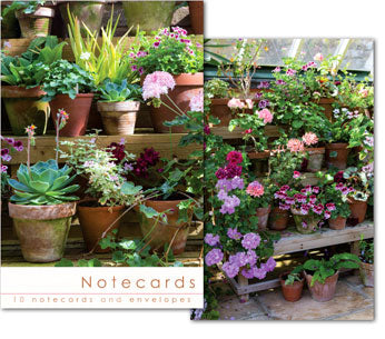 Notecards: Pot plants in conservatory