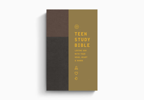 ESV Teen Study Bible TruTone®, Slate/Umber