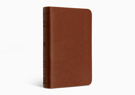 ESV VALUE COMPACT BIBLE -TruTone, Paris Sky, Branch (Copy)