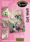 Boxed Cards: Get Well, Hummingbirds - KJV