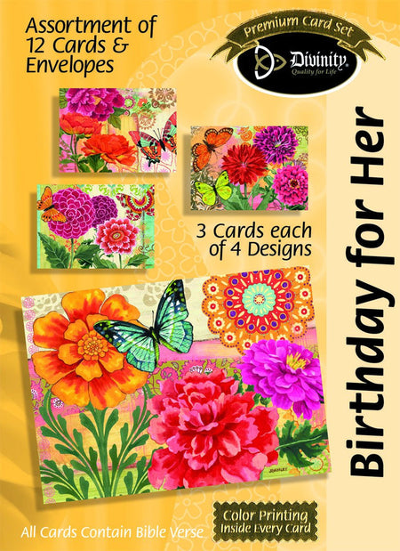 Boxed Cards: Birthday For Him, Canoe, Elk, River and Field Assortment