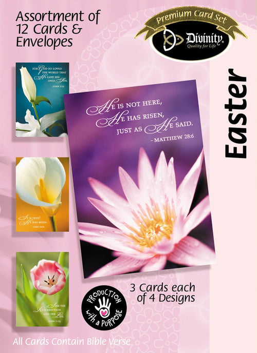 Boxed Cards: Easter, Spring Flowers