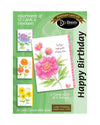 Boxed Cards: Birthday - KJV