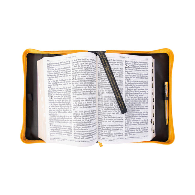 Divine Details: Bible Cover - Modern Rainbow