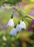 Sympathy Card - White Snowflake Flowers  (Order in 6)