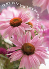 Wife Anniversary Card - Pink Echinacea  (Order in 6)