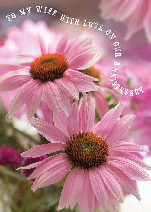 Wife Anniversary Card - Pink Echinacea  (Order in 6)