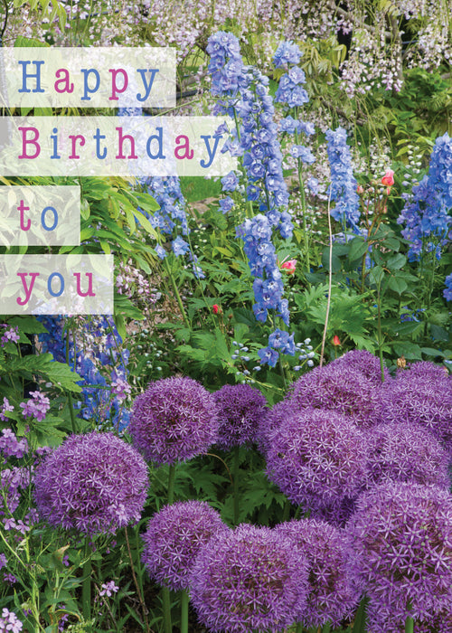 Birthday Card - Allium And Delphinium  (Order in 6)