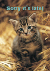 Belated Birthday Card - Kitten In Straw  (Order in 6)