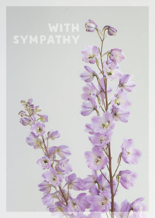 Sympathy Card - Light Pink Delphinium  (Order in 6)