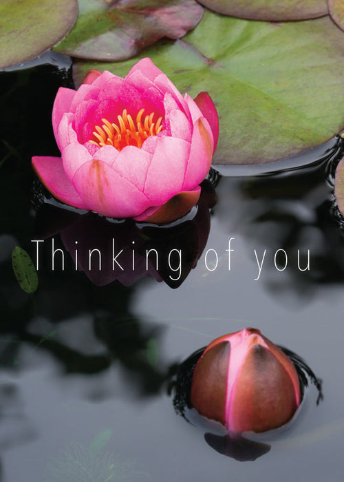 Thinking of You Card - Water Lilies  (Order in 6)