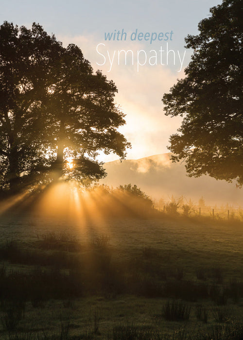 Sympathy Card - Dawn Sunlight Near Trees  (Order in 6)
