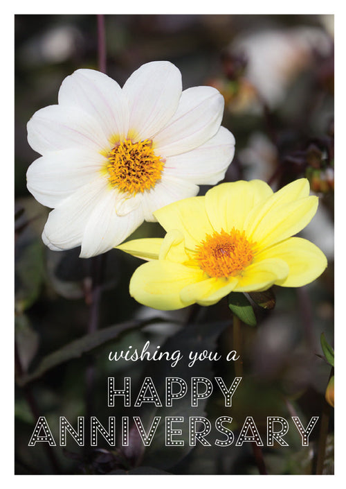 Anniversary Card - Dahlias  (Order in 6)