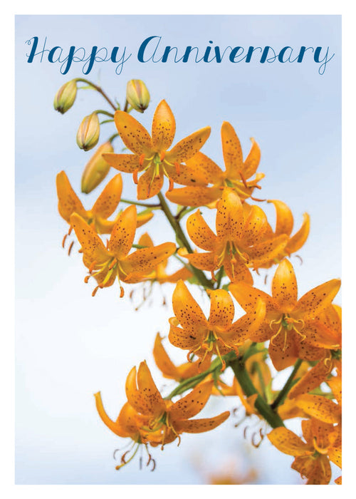 Anniversary Card - Orange Lily Stem  (Order in 6)
