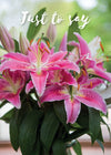 Just to Say Card - Stargazer Lilies  (Order in 6)