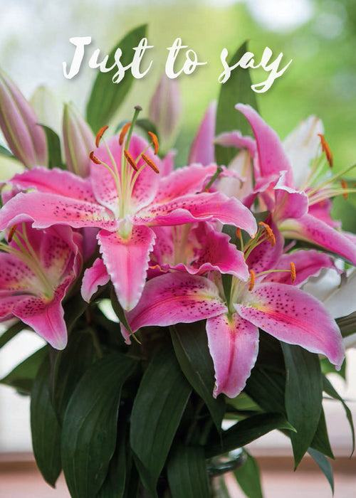 Just to Say Card - Stargazer Lilies  (Order in 6)