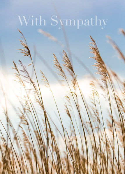 Sympathy Card - Evening Grasses  (Order in 6)