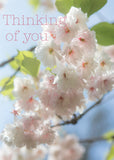Thinking of You Card - Blossom /Blue Sky  (Order in 6)