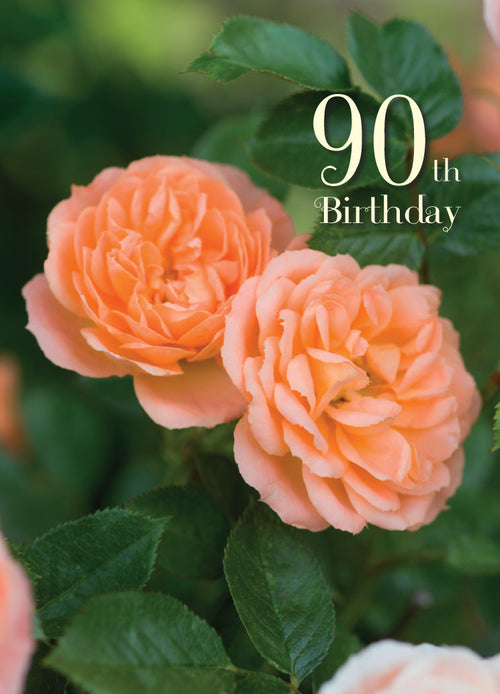Age 90 Card - Elegant Peach Roses  (Order in 6)