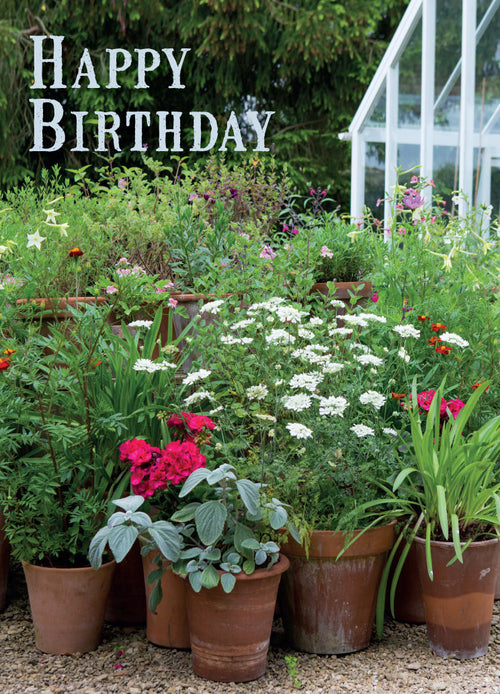 Birthday Card - Garden Scene  (Order in 6)