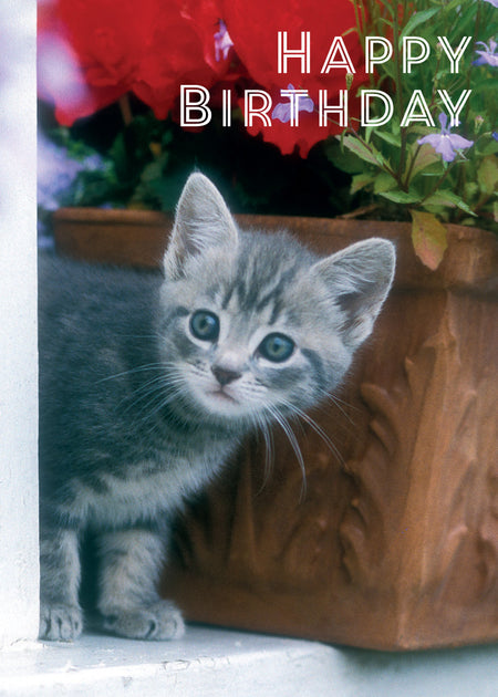 Age 90 Card - Patio Pots  (Order in 6)
