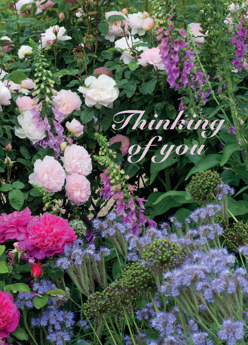 Thinking of You Card - Summer Flower Border  (Order in 6)