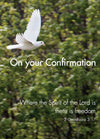 Confirmation Card - Dove In Flight  (Order in 6)