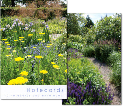 Notecard Wallet - Borders RHS (10 cards)