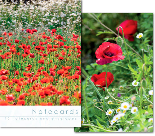 Notecard Wallet - Field Poppies (10 cards)