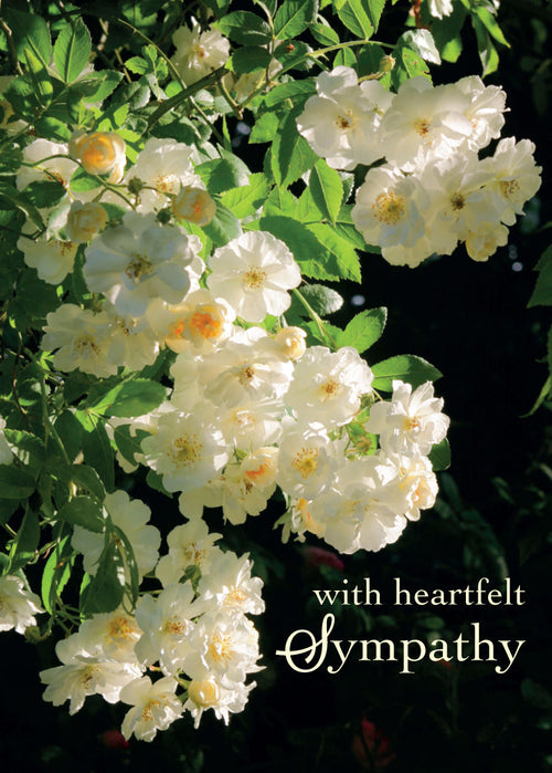 Sympathy Card - Tumbling Roses  (Order in 6)