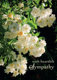 Sympathy Card - Tumbling Roses  (Order in 6)
