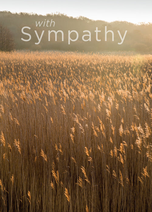Sympathy Card - Reedbed at Minsmere  (Order in 6)
