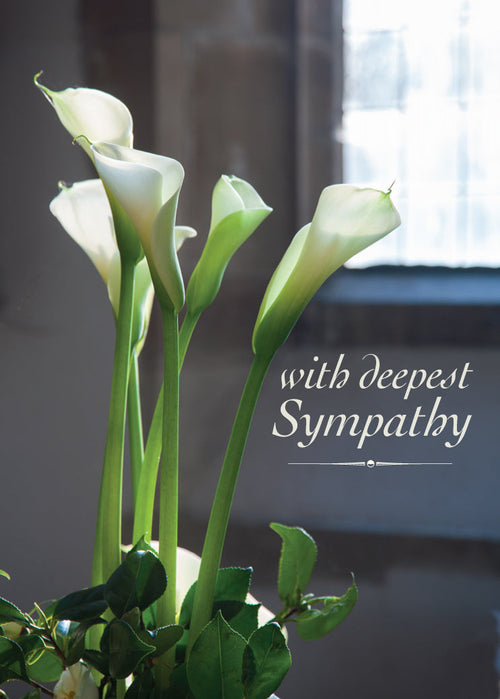 Sympathy Card - Arum Lilies  (Order in 6)