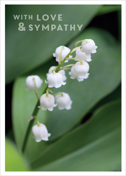 Sympathy Card - Lily Of The Valley  (Order in 6)