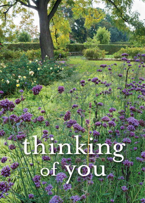 Thinking of You Card - RHS Wisley  (Order in 6)