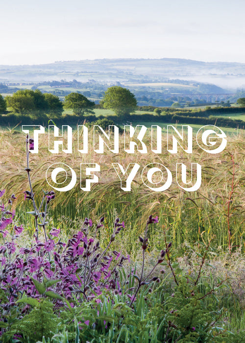 Thinking of You Card - Cornish Scene  (Order in 6)