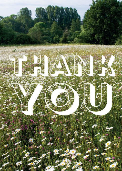 Thank You Card - Daisy Meadow  (Order in 6)