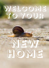 New Home Card - Creeping Snail  (Order in 6)