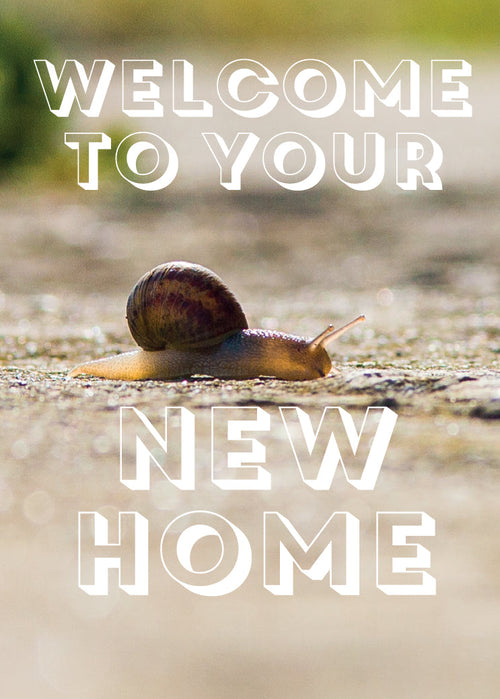 New Home Card - Creeping Snail  (Order in 6)