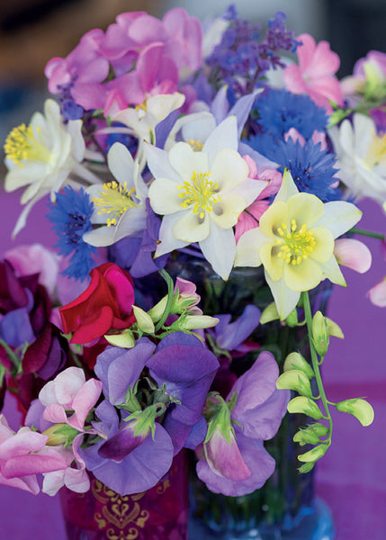 Blank Card - Sweet Pea Arrangement  (Order in 6)