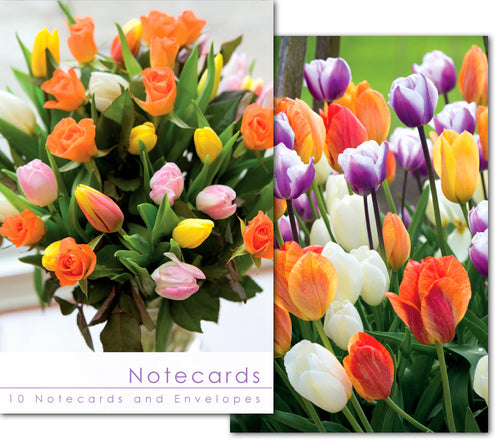 Notecard Wallet - Colourful Tulips (10 cards)