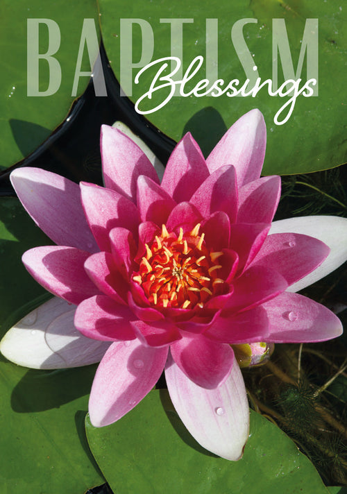 Baptism Card - Water Lily  (Order in 6)