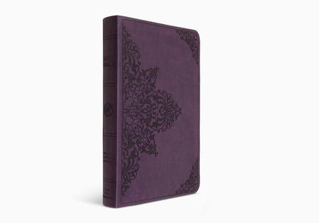 ESV Large Print Compact Bible