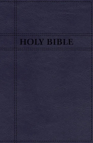 NIV Value Thinline Bible Large Print Brown (Black Letter Edition)