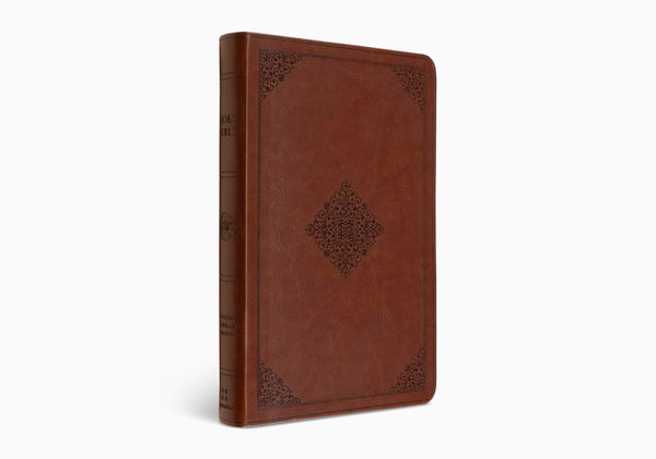 ESV Large Print Value Thinline Bible