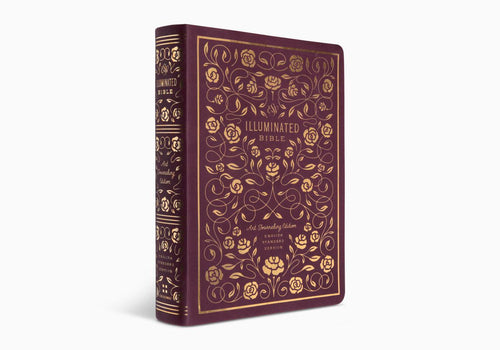 ESV Illuminated™ Bible, Art Journaling Edition TruTone®, Burgundy