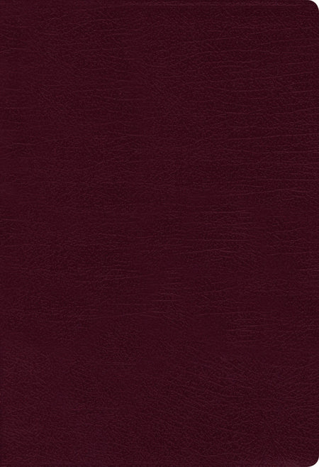 NIV Premium Gift Bible Burgundy Indexed (Red Letter Edition)