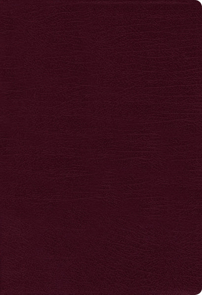 NIV Thinline Bible Large Print Burgundy Indexed (Red Letter Edition)